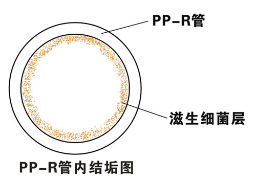 PP-R滲氧，易滋生細(xì)菌，有異味；腐蝕金屬連接件，降低使用壽命
